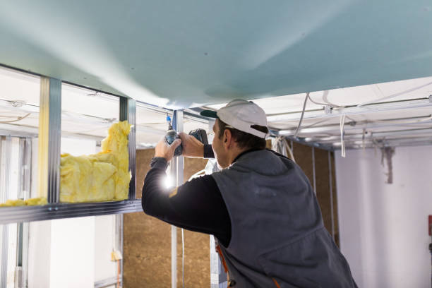 Best Insulation Maintenance and Repair in Bort, GA