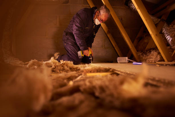 Best Spray Foam Insulation in Bort, GA