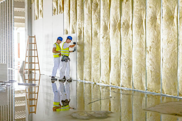  Bort, GA Insulation Contractor Pros